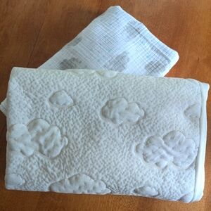 Waterproof Crib Mattress Cover and Aden + Anais Crib Sheet